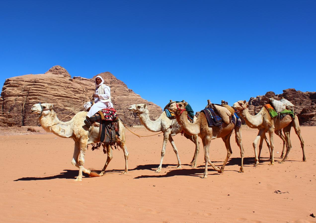 Wadi Rum Green Desert Kültér fotó