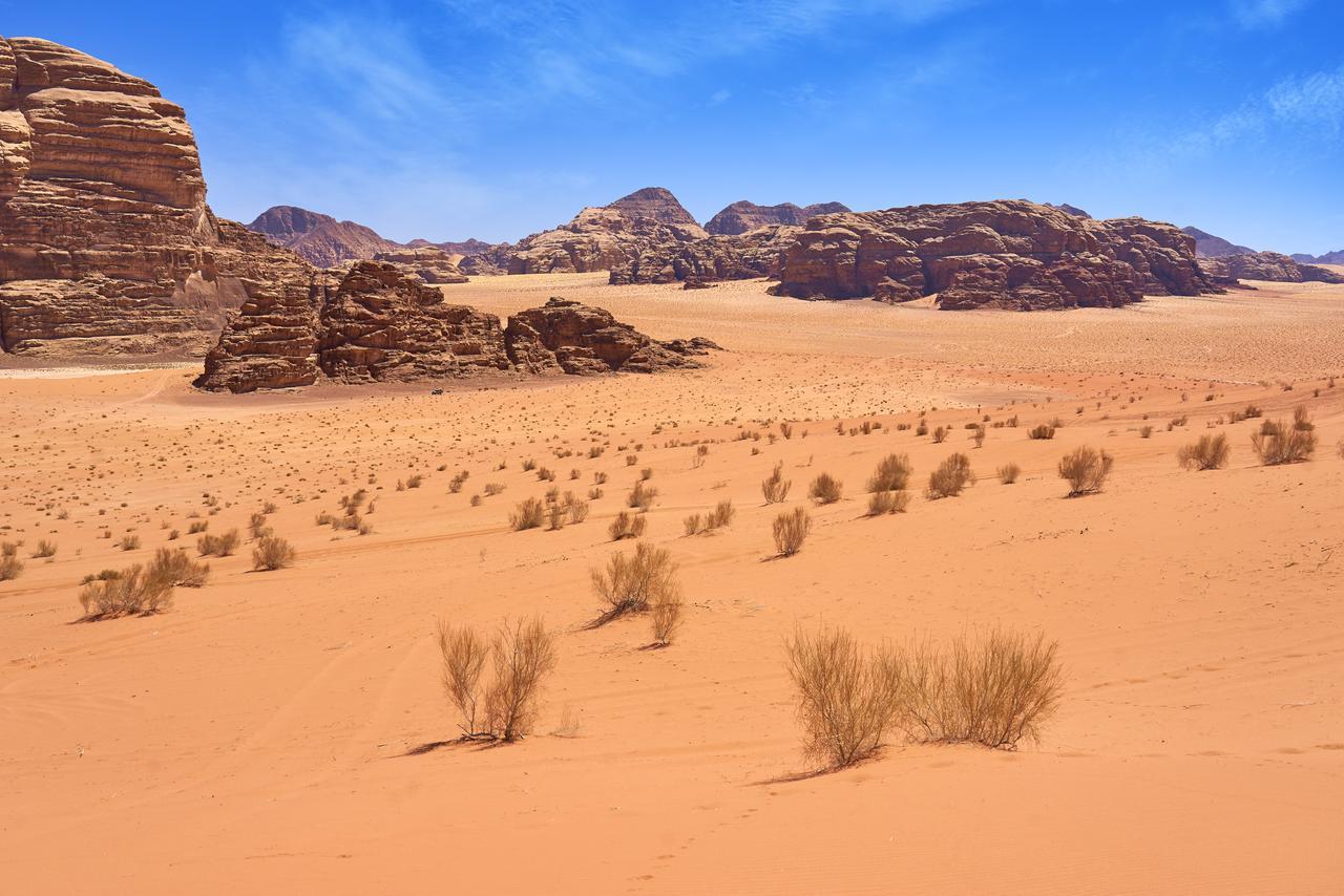 Wadi Rum Green Desert Kültér fotó